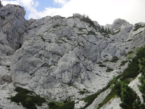 Jašika